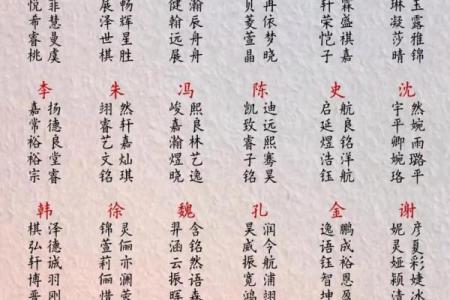 2019年6月27号丑时出生的男孩起名方法姓名