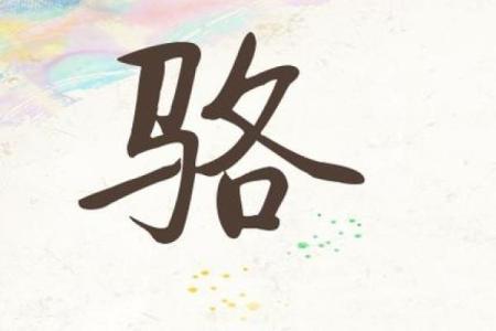 骆姓男孩名字大全-骆姓男孩起名字大全-骆姓名字大全姓名