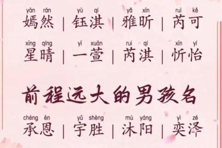 2019年3月21号子时出生的男孩应该起什么样的名字姓名