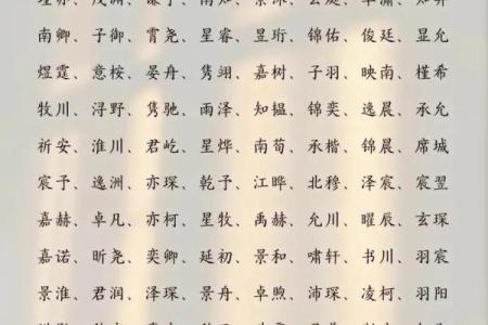 2019年4月8号辰时出生的男孩如何起名姓名