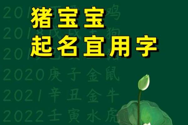 4月份出生的属猪男孩该怎么起名姓名