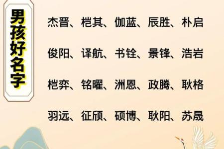 2019年6月24号子时出生的男孩要怎么起名字姓名