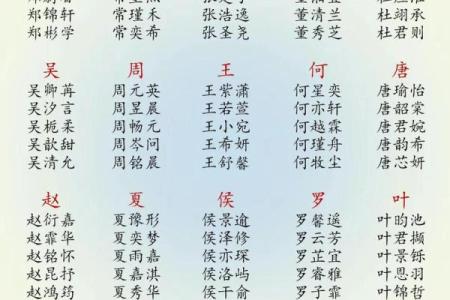 2019年3月23号子时出生的男孩要怎么起名字姓名