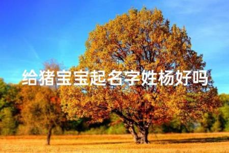 4月份出生的属猪男孩该怎么起名姓名