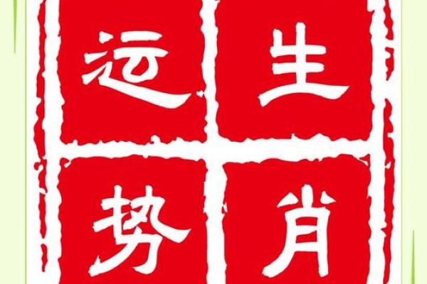 属猪午时出生的男孩起什么名，用什么字？姓名