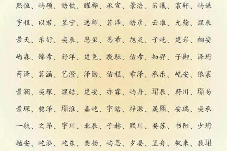 2019年3月12号丑时出生的男孩起名方法姓名