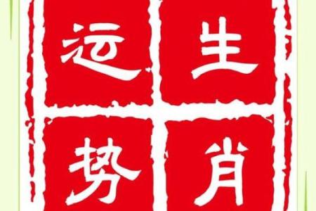 属猪午时出生的男孩起什么名，用什么字？姓名