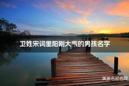 卫姓男孩名字大全-卫姓男孩起名字大全-卫姓名字大全姓名