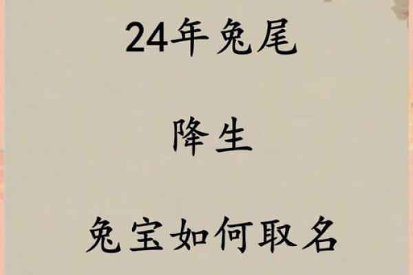 1月份出生的属兔女孩该如何起名姓名