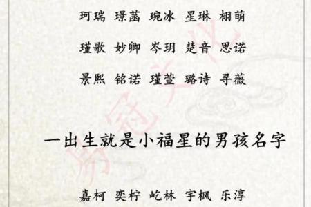 2019年3月19号亥时出生的男孩起名时要注意什么姓名