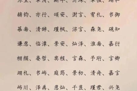 2019年6月29号子时出生的男孩起名时要注意什么姓名