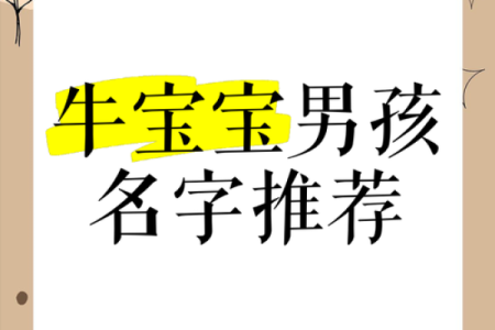 什么名字适合上午出生的属牛男孩姓名