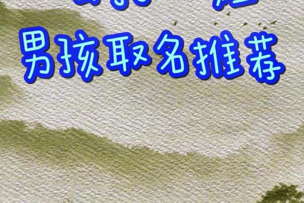2019年6月14号卯时出生的男孩如何起名姓名