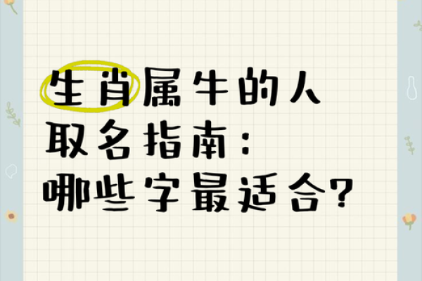 早上出生的属牛男孩的好名字有哪些姓名
