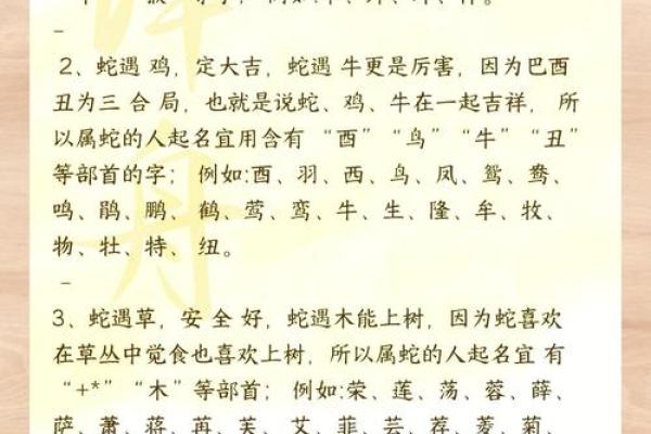 属蛇亥时出生的男孩应该如何起名，适用哪些字姓名