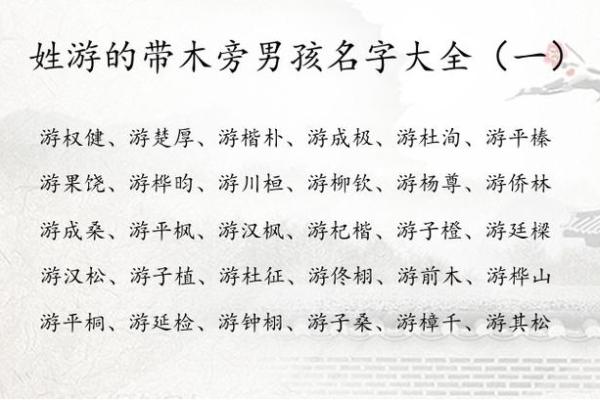 属蛇亥时出生的男孩应该如何起名，适用哪些字姓名