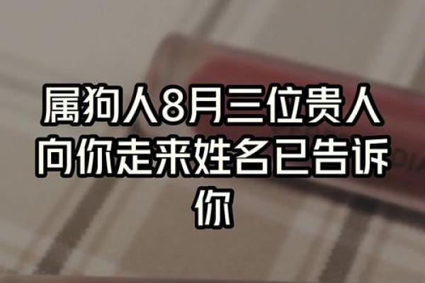 八月份出生的属狗男孩应该如何取名字姓名