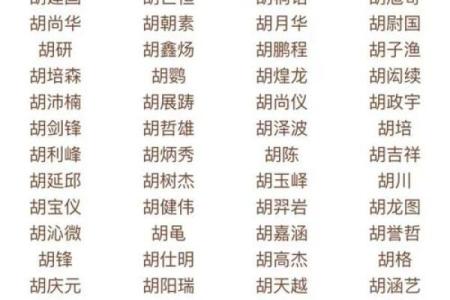 八月份出生的属狗男孩应该如何取名字姓名