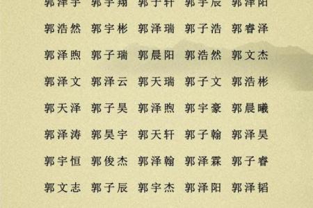 贝姓男孩名字大全-贝姓男孩起名字大全-贝姓名字大全姓名