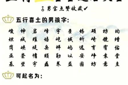 属猴酉时出生的男孩怎么起名，适合什么字姓名