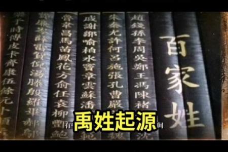 禹姓男孩名字大全-禹姓男孩起名字大全-禹姓名字大全姓名