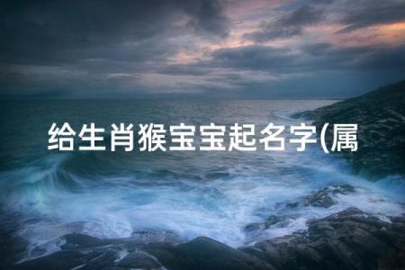什么字给晚上12点出生的属猴男孩起名合适姓名