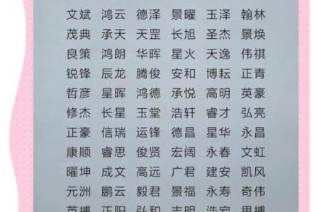 2019年3月17号午时出生的男孩应该起什么样的名字姓名