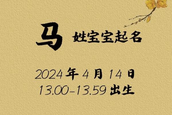 五月份出生的属马男孩该取什么名字姓名