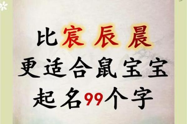 要给上午11点出生的属鼠男孩起名用什么字姓名