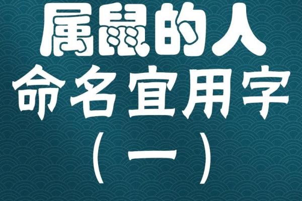 要给上午11点出生的属鼠男孩起名用什么字姓名