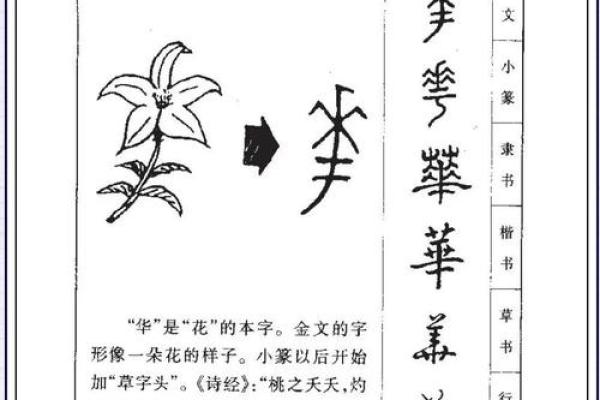 姓劳的名人-姓名学-华易算命网姓名