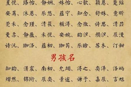 嵇姓女孩名字大全-嵇姓女孩起名字大全-嵇姓名字大全姓名