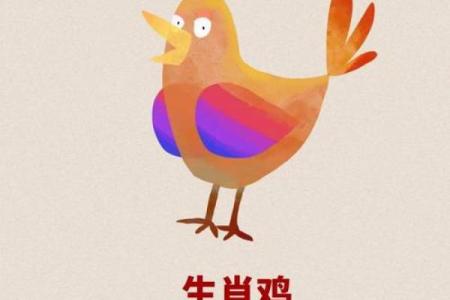 中午12点出生的属鸡男孩如何起名合适姓名