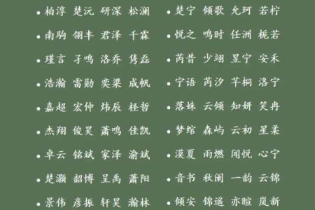 2019年3月20号申时出生的男孩起名方法姓名