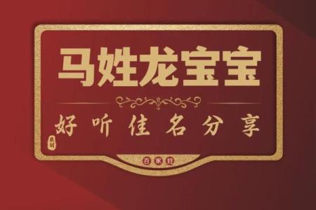 五月份出生的属马男孩该取什么名字姓名