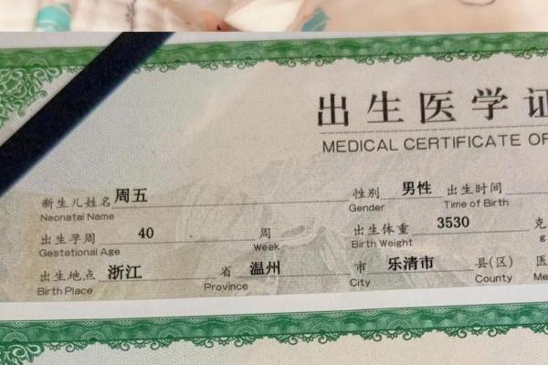 好听的双胞胎名字和起双胞胎名字的五种方法-姓名学-华易网姓名
