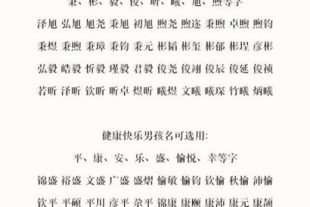 早上8点出生的属鼠男孩起名适合用什么字姓名