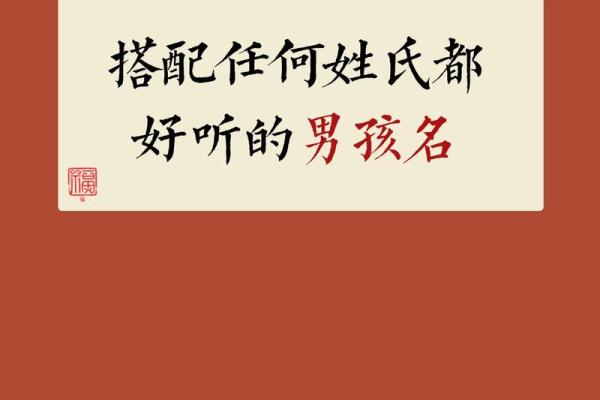 2019年4月14号子时出生的男孩应该起什么样的名字姓名
