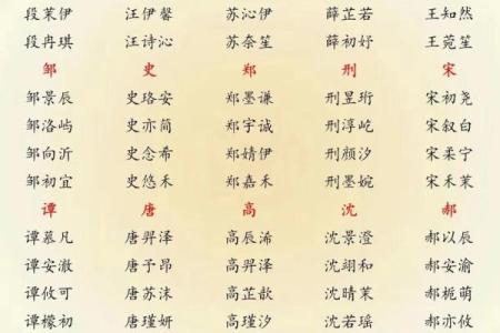 2019年3月30号酉时出生的男孩起名方法姓名