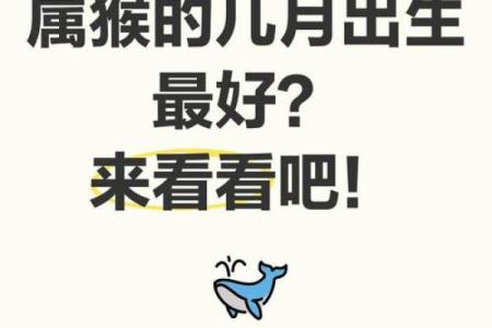 傍晚出生的属猴男孩如何起名，用什么字姓名