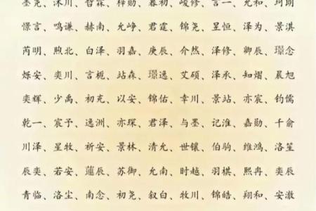 2019年3月19号午时出生的男孩起名时要注意什么姓名