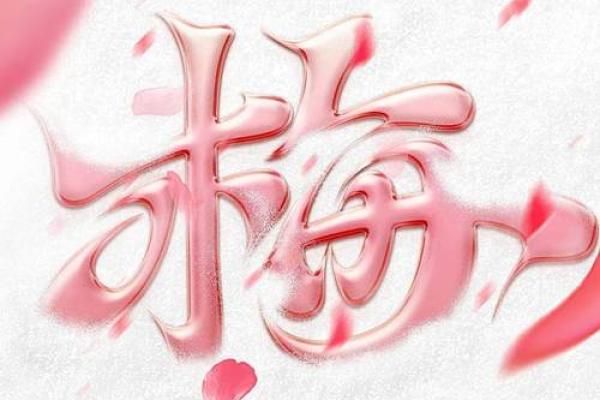 梅姓女孩名字大全-梅姓女孩起名字大全-梅姓名字大全姓名