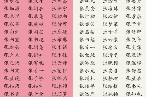 晚上10点出生的属蛇男孩要如何起名，宜用什么字姓名
