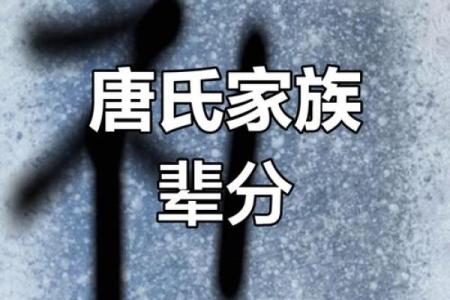 唐姓男孩名字大全-唐姓男孩起名字大全-唐姓名字大全姓名