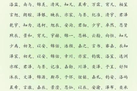 2019年6月14号子时出生的男孩应该起什么样的名字姓名