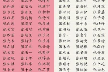 晚上10点出生的属蛇男孩要如何起名，宜用什么字姓名