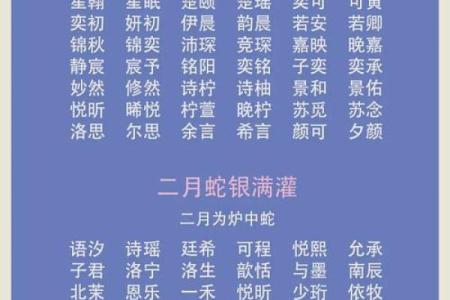 凌晨3点出生的属蛇男孩如何起名，宜用什么字姓名