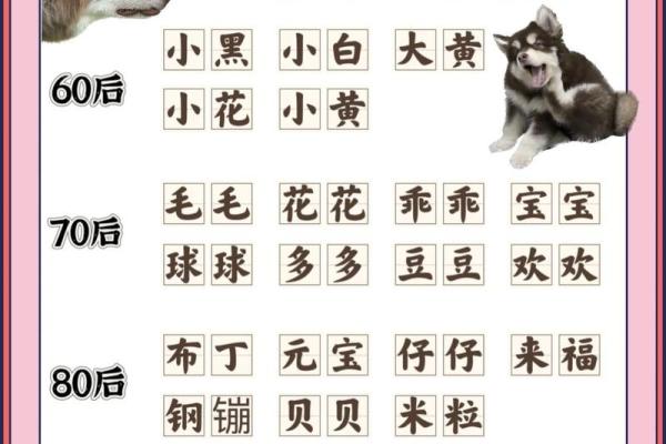 半夜出生的属狗男孩怎么取名，宜用什么字姓名