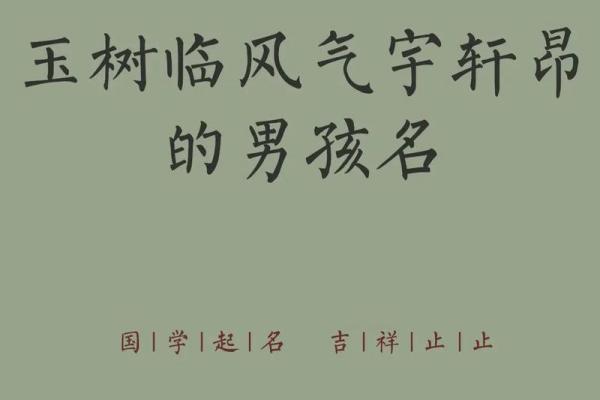 2019年4月23号丑时出生的男孩应该起什么样的名字姓名