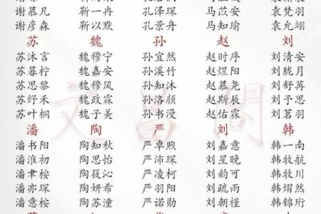 2019年3月23号午时出生的男孩如何起名姓名